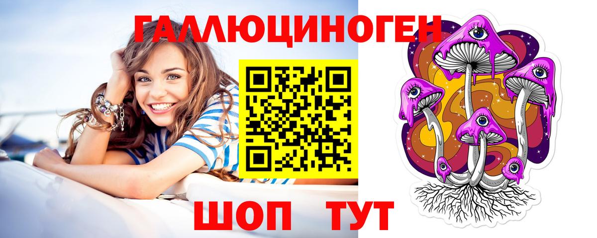 Галлюциногенные грибы Psilocybine cubensis  Галлюциногенные грибы MAGIC MUSHROOMS  Вход с VPN  Сунжа 