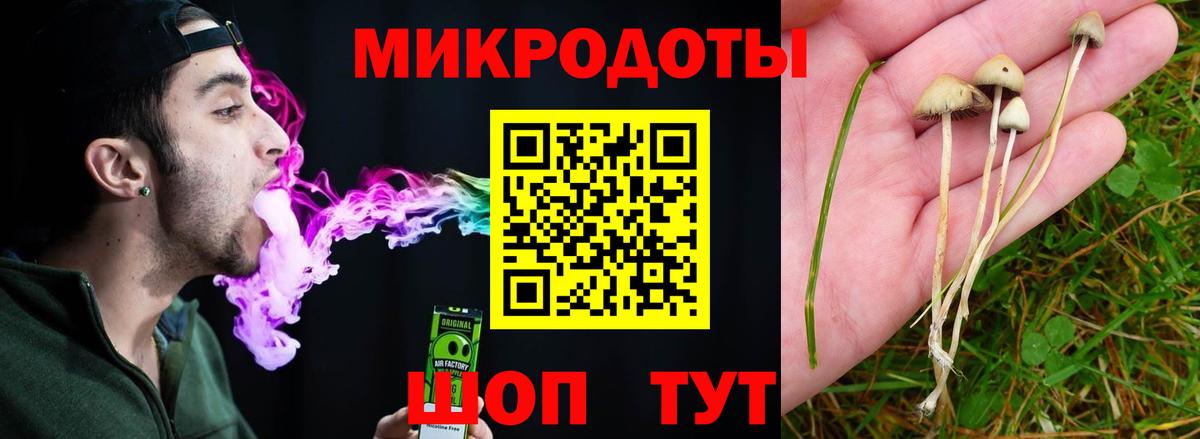 Псилоцибиновые грибы MAGIC MUSHROOMS Сунжа