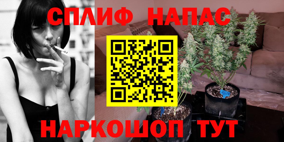 Сунжа  Марихуана планчик  Канабис White Widow  Вход с VPN 